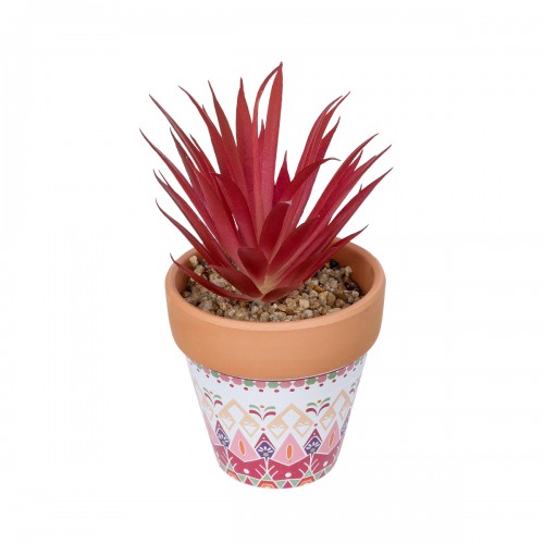 GloboStar® Artificial Garden AIR PLANT NEOPHYTUM POTTED PLANT 21042 Διακοσμητικό Φυτό Νεόφυτο Φ12 x Υ15cm GloboStar® Artificial Garden AIR PLANT NEOPHYTUM POTTED PLANT 21042 Διακοσμητικό Φυτό Νεόφυτο Φ12 x Υ15cm