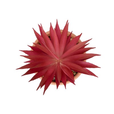 GloboStar® Artificial Garden AIR PLANT NEOPHYTUM POTTED PLANT 21042 Διακοσμητικό Φυτό Νεόφυτο Φ12 x Υ15cm GloboStar® Artificial Garden AIR PLANT NEOPHYTUM POTTED PLANT 21042 Διακοσμητικό Φυτό Νεόφυτο Φ12 x Υ15cm
