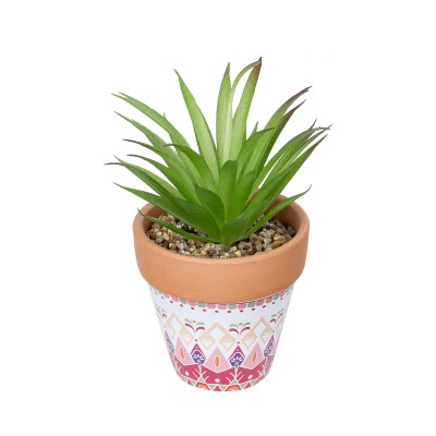 GloboStar® Artificial Garden AIR PLANT NEOPHYTUM POTTED PLANT 21043 Διακοσμητικό Φυτό Νεόφυτο Φ12 x Υ15cm GloboStar® Artificial Garden AIR PLANT NEOPHYTUM POTTED PLANT 21043 Διακοσμητικό Φυτό Νεόφυτο Φ12 x Υ15cm