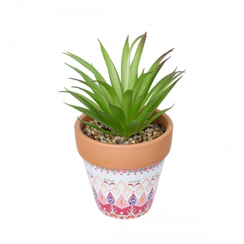 GloboStar® Artificial Garden AIR PLANT NEOPHYTUM POTTED PLANT 21043 Διακοσμητικό Φυτό Νεόφυτο Φ12 x Υ15cm GloboStar® Artificial Garden AIR PLANT NEOPHYTUM POTTED PLANT 21043 Διακοσμητικό Φυτό Νεόφυτο Φ12 x Υ15cm