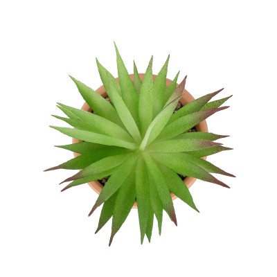 GloboStar® Artificial Garden AIR PLANT NEOPHYTUM POTTED PLANT 21043 Διακοσμητικό Φυτό Νεόφυτο Φ12 x Υ15cm GloboStar® Artificial Garden AIR PLANT NEOPHYTUM POTTED PLANT 21043 Διακοσμητικό Φυτό Νεόφυτο Φ12 x Υ15cm
