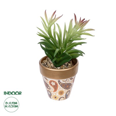 GloboStar® Artificial Garden SUCCULENT CRASSULA POTTED PLANT 21046 Διακοσμητικό Φυτό Κρασούλα Φ12 x Υ20cm GloboStar® Artificial Garden SUCCULENT CRASSULA POTTED PLANT 21046 Διακοσμητικό Φυτό Κρασούλα Φ12 x Υ20cm