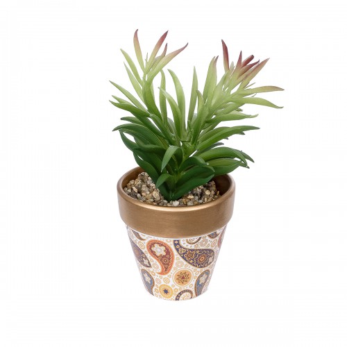 GloboStar® Artificial Garden SUCCULENT CRASSULA POTTED PLANT 21046 Διακοσμητικό Φυτό Κρασούλα Φ12 x Υ20cm GloboStar® Artificial Garden SUCCULENT CRASSULA POTTED PLANT 21046 Διακοσμητικό Φυτό Κρασούλα Φ12 x Υ20cm