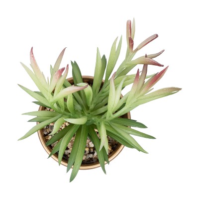 GloboStar® Artificial Garden SUCCULENT CRASSULA POTTED PLANT 21046 Διακοσμητικό Φυτό Κρασούλα Φ12 x Υ20cm GloboStar® Artificial Garden SUCCULENT CRASSULA POTTED PLANT 21046 Διακοσμητικό Φυτό Κρασούλα Φ12 x Υ20cm