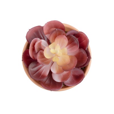 GloboStar® Artificial Garden SUCCULENT ECHEVERIA POTTED PLANT 20950 Διακοσμητικό Φυτό Εχεβέρια Φ10 x Υ13cm Διακόσμηση - Φως - Χαλιά GloboStar® Artificial Garden SUCCULENT ECHEVERIA POTTED PLANT 20950 Διακοσμητικό Φυτό Εχεβέρια Φ10 x Υ13cm Διακόσμηση - Φως - Χαλιά