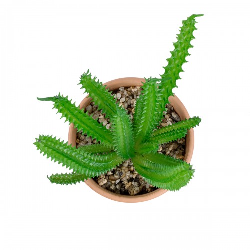 GloboStar® Artificial Garden SUCCULENT EUPHORBIA POTTED PLANT 21052 Διακοσμητικό Φυτό Ευφορβία Φ18 x Υ23cm Διακόσμηση - Φως - Χαλιά