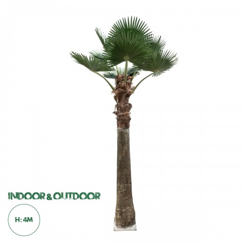 GloboStar® Artificial Garden PLANT PALM TREE 21055 Διακοσμητικό Δέντρο Φοίνικα  Φ240 x Υ400cm Διακόσμηση - Φως - Χαλιά
