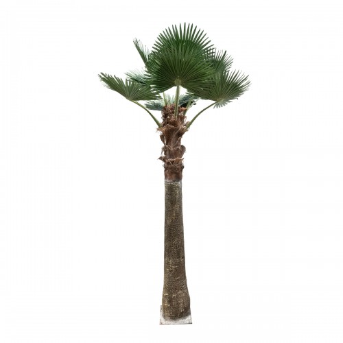 GloboStar® Artificial Garden PLANT PALM TREE 21055 Διακοσμητικό Δέντρο Φοίνικα  Φ240 x Υ400cm Διακόσμηση - Φως - Χαλιά