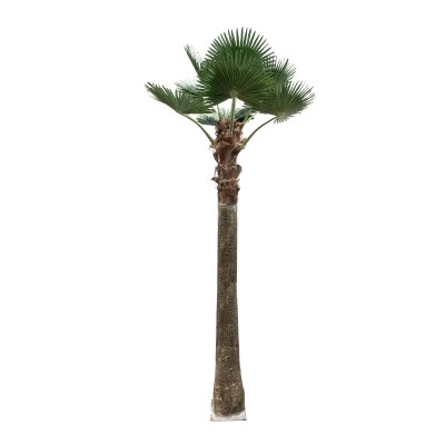 GloboStar® Artificial Garden PLANT PALM TREE 21056 Διακοσμητικό Δέντρο Φοίνικα Φ240 x Υ500cm GloboStar® Artificial Garden PLANT PALM TREE 21056 Διακοσμητικό Δέντρο Φοίνικα Φ240 x Υ500cm