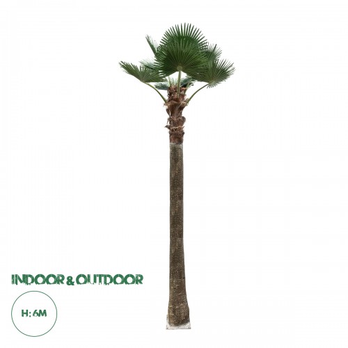 GloboStar® Artificial Garden PLANT PALM TREE 21057 Διακοσμητικό Δέντρο Φοίνικα Φ240 x Υ600cm Διακόσμηση - Φως - Χαλιά GloboStar® Artificial Garden PLANT PALM TREE 21057 Διακοσμητικό Δέντρο Φοίνικα Φ240 x Υ600cm Διακόσμηση - Φως - Χαλιά