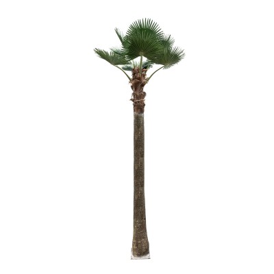 GloboStar® Artificial Garden PLANT PALM TREE 21057 Διακοσμητικό Δέντρο Φοίνικα Φ240 x Υ600cm GloboStar® Artificial Garden PLANT PALM TREE 21057 Διακοσμητικό Δέντρο Φοίνικα Φ240 x Υ600cm