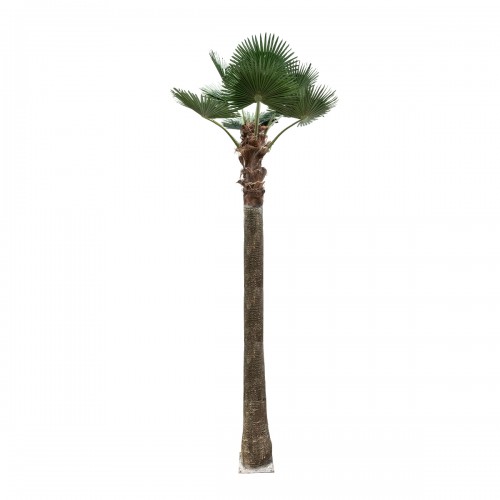 GloboStar® Artificial Garden PLANT PALM TREE 21057 Διακοσμητικό Δέντρο Φοίνικα Φ240 x Υ600cm Διακόσμηση - Φως - Χαλιά GloboStar® Artificial Garden PLANT PALM TREE 21057 Διακοσμητικό Δέντρο Φοίνικα Φ240 x Υ600cm Διακόσμηση - Φως - Χαλιά