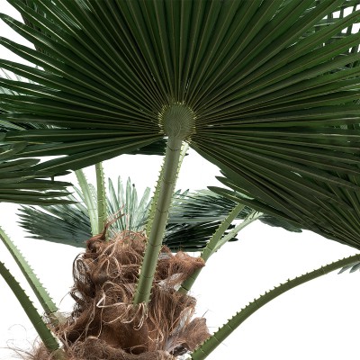 GloboStar® Artificial Garden PLANT PALM TREE 21057 Διακοσμητικό Δέντρο Φοίνικα Φ240 x Υ600cm Διακόσμηση - Φως - Χαλιά GloboStar® Artificial Garden PLANT PALM TREE 21057 Διακοσμητικό Δέντρο Φοίνικα Φ240 x Υ600cm Διακόσμηση - Φως - Χαλιά