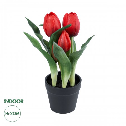 GloboStar® Artificial Garden RED TULIP 21094 Διακοσμητικό Φυτό Κόκκινη Τουλίπα Υ23cm Διακόσμηση - Φως - Χαλιά GloboStar® Artificial Garden RED TULIP 21094 Διακοσμητικό Φυτό Κόκκινη Τουλίπα Υ23cm Διακόσμηση - Φως - Χαλιά