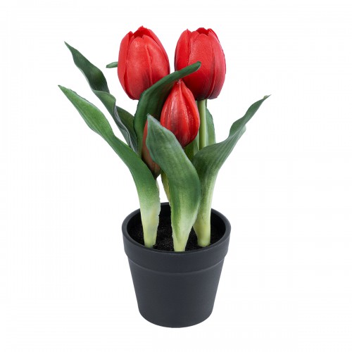 GloboStar® Artificial Garden RED TULIP 21094 Διακοσμητικό Φυτό Κόκκινη Τουλίπα Υ23cm Διακόσμηση - Φως - Χαλιά GloboStar® Artificial Garden RED TULIP 21094 Διακοσμητικό Φυτό Κόκκινη Τουλίπα Υ23cm Διακόσμηση - Φως - Χαλιά