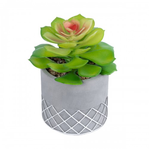 GloboStar® Artificial Garden SUCCULENT SEDEVERIA 21095 Διακοσμητικό Φυτό Παχύφυτο Σεντεβέρια Υ17cm GloboStar® Artificial Garden SUCCULENT SEDEVERIA 21095 Διακοσμητικό Φυτό Παχύφυτο Σεντεβέρια Υ17cm