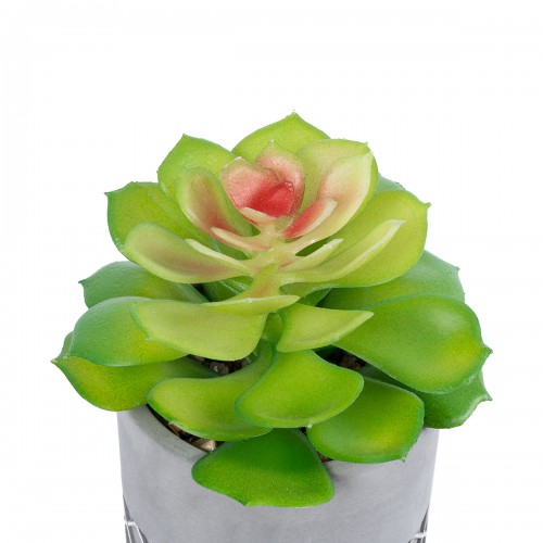 GloboStar® Artificial Garden SUCCULENT SEDEVERIA 21095 Διακοσμητικό Φυτό Παχύφυτο Σεντεβέρια Υ17cm GloboStar® Artificial Garden SUCCULENT SEDEVERIA 21095 Διακοσμητικό Φυτό Παχύφυτο Σεντεβέρια Υ17cm