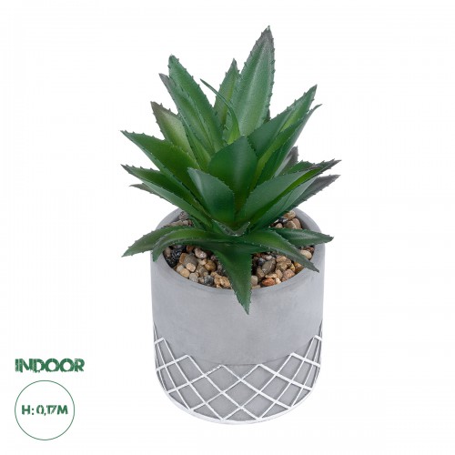 GloboStar® Artificial Garden SUCCULENT ALOE 21096 Διακοσμητικό Φυτό Παχύφυτο Αλόη Υ17cm Διακόσμηση - Φως - Χαλιά GloboStar® Artificial Garden SUCCULENT ALOE 21096 Διακοσμητικό Φυτό Παχύφυτο Αλόη Υ17cm Διακόσμηση - Φως - Χαλιά