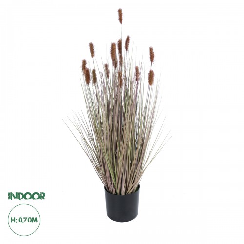 GloboStar® Artificial Garden BROWN LAGURUS 21099 Διακοσμητικό Φυτό Καφέ Λαγοουρά Υ70cm Διακόσμηση - Φως - Χαλιά