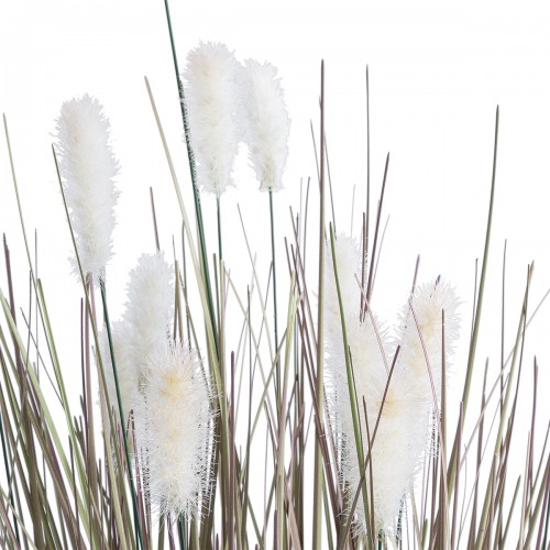 GloboStar® Artificial Garden BEIGE LAGURU 21100 Διακοσμητικό Φυτό Μπεζ Λαγοουρά Υ70cm Διακόσμηση - Φως - Χαλιά GloboStar® Artificial Garden BEIGE LAGURU 21100 Διακοσμητικό Φυτό Μπεζ Λαγοουρά Υ70cm Διακόσμηση - Φως - Χαλιά