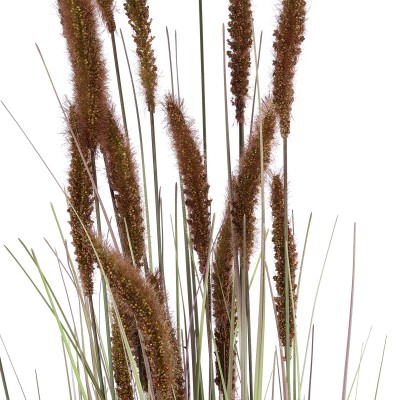 GloboStar® Artificial Garden BROWN LAGURUS 21101 Διακοσμητικό Φυτό Καφέ Λαγοουρά Υ140cm Διακόσμηση - Φως - Χαλιά
