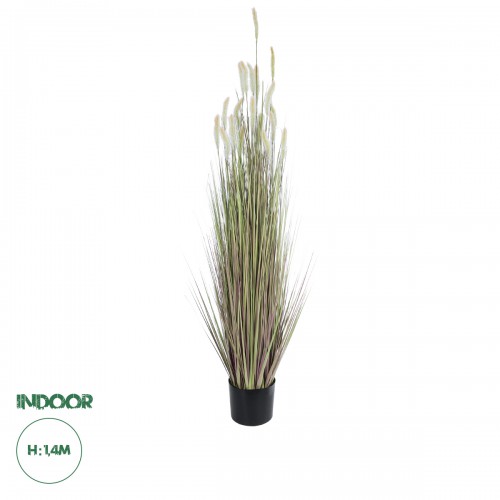 GloboStar® Artificial Garden BEIGE LAGURUS 21102 Διακοσμητικό Φυτό Μπεζ Λαγοουρά Υ140cm Διακόσμηση - Φως - Χαλιά GloboStar® Artificial Garden BEIGE LAGURUS 21102 Διακοσμητικό Φυτό Μπεζ Λαγοουρά Υ140cm Διακόσμηση - Φως - Χαλιά