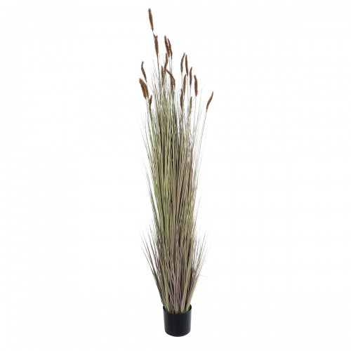 GloboStar® Artificial Garden BROWN LAGURUS 21103 Διακοσμητικό Φυτό Καφέ Λαγοουρά Υ180cm Διακόσμηση - Φως - Χαλιά GloboStar® Artificial Garden BROWN LAGURUS 21103 Διακοσμητικό Φυτό Καφέ Λαγοουρά Υ180cm Διακόσμηση - Φως - Χαλιά