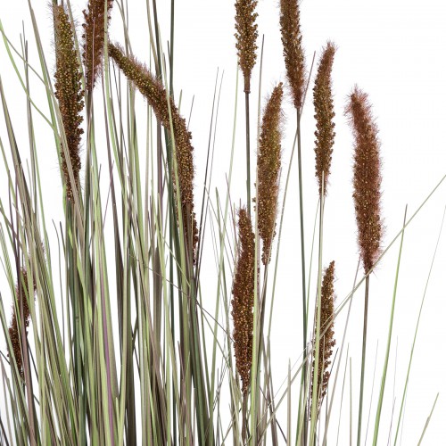 GloboStar® Artificial Garden BROWN LAGURUS 21103 Διακοσμητικό Φυτό Καφέ Λαγοουρά Υ180cm Διακόσμηση - Φως - Χαλιά GloboStar® Artificial Garden BROWN LAGURUS 21103 Διακοσμητικό Φυτό Καφέ Λαγοουρά Υ180cm Διακόσμηση - Φως - Χαλιά