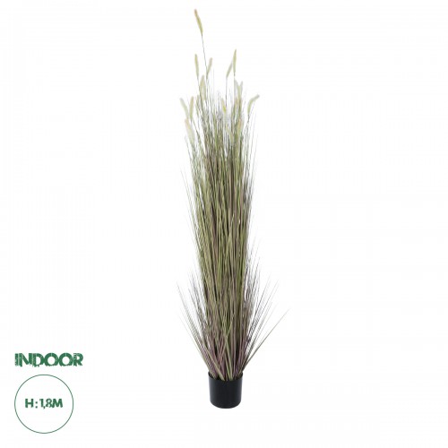 GloboStar® Artificial Garden BEIGE LAGURUS 21103 Διακοσμητικό Φυτό Μπεζ Λαγοουρά Υ180cm Διακόσμηση - Φως - Χαλιά GloboStar® Artificial Garden BEIGE LAGURUS 21103 Διακοσμητικό Φυτό Μπεζ Λαγοουρά Υ180cm Διακόσμηση - Φως - Χαλιά