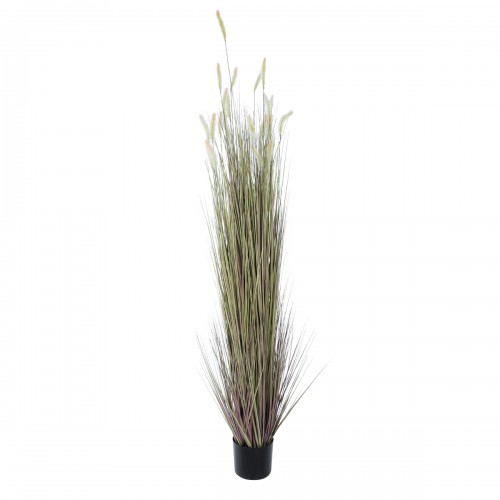 GloboStar® Artificial Garden BEIGE LAGURUS 21103 Διακοσμητικό Φυτό Μπεζ Λαγοουρά Υ180cm Διακόσμηση - Φως - Χαλιά GloboStar® Artificial Garden BEIGE LAGURUS 21103 Διακοσμητικό Φυτό Μπεζ Λαγοουρά Υ180cm Διακόσμηση - Φως - Χαλιά