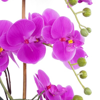 GloboStar® Artificial Garden HOT PINK ORCHID 21119 Διακοσμητικό Φυτό Έντονο Ροζ Ορχιδέα Υ43cm GloboStar® Artificial Garden HOT PINK ORCHID 21119 Διακοσμητικό Φυτό Έντονο Ροζ Ορχιδέα Υ43cm