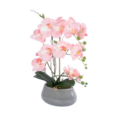 GloboStar® Artificial Garden SALMON PINK ORCHID 21122 Διακοσμητικό Φυτό Ροζ-Πορτοκαλί Ορχιδέα Υ43cm GloboStar® Artificial Garden SALMON PINK ORCHID 21122 Διακοσμητικό Φυτό Ροζ-Πορτοκαλί Ορχιδέα Υ43cm