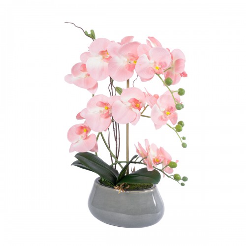 GloboStar® Artificial Garden SALMON PINK ORCHID 21122 Διακοσμητικό Φυτό Ροζ-Πορτοκαλί Ορχιδέα Υ43cm Διακόσμηση - Φως - Χαλιά GloboStar® Artificial Garden SALMON PINK ORCHID 21122 Διακοσμητικό Φυτό Ροζ-Πορτοκαλί Ορχιδέα Υ43cm Διακόσμηση - Φως - Χαλιά