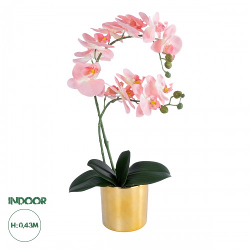 GloboStar® Artificial Garden SALMON PINK ORCHID 21129 Διακοσμητικό Φυτό Φούξια Ορχιδέα Υ43cm Διακόσμηση - Φως - Χαλιά GloboStar® Artificial Garden SALMON PINK ORCHID 21129 Διακοσμητικό Φυτό Φούξια Ορχιδέα Υ43cm Διακόσμηση - Φως - Χαλιά