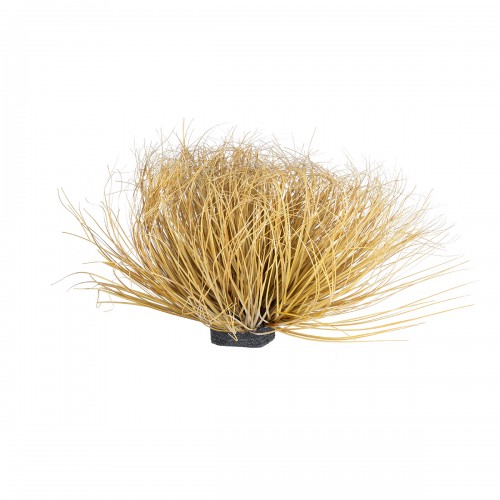 GloboStar® Artificial Garden GRASS BUSH PLANT 21165 Τεχνητό Διακοσμητικό Φυτό Θάμνος Grass Π50cm Y30cm Διακόσμηση - Φως - Χαλιά GloboStar® Artificial Garden GRASS BUSH PLANT 21165 Τεχνητό Διακοσμητικό Φυτό Θάμνος Grass Π50cm Y30cm Διακόσμηση - Φως - Χαλιά