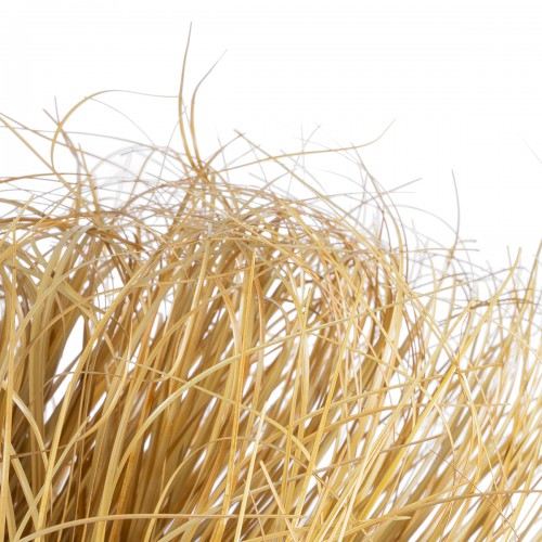 GloboStar® Artificial Garden GRASS BUSH PLANT 21165 Τεχνητό Διακοσμητικό Φυτό Θάμνος Grass Π50cm Y30cm Διακόσμηση - Φως - Χαλιά GloboStar® Artificial Garden GRASS BUSH PLANT 21165 Τεχνητό Διακοσμητικό Φυτό Θάμνος Grass Π50cm Y30cm Διακόσμηση - Φως - Χαλιά