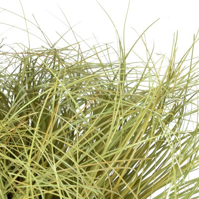 GloboStar® Artificial Garden GRASS BUSH PLANT 21166 Τεχνητό Διακοσμητικό Φυτό Θάμνος Grass Π50cm Y30cm Διακόσμηση - Φως - Χαλιά GloboStar® Artificial Garden GRASS BUSH PLANT 21166 Τεχνητό Διακοσμητικό Φυτό Θάμνος Grass Π50cm Y30cm Διακόσμηση - Φως - Χαλιά