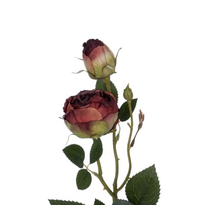 GloboStar® Artificial Garden RED DAMASK CLIMBING ROSE BRANCH 21197 Τεχνητό Διακοσμητικό Κλαδί Τριαντάφυλλο Κόκκινο Y55cm Διακόσμηση - Φως - Χαλιά GloboStar® Artificial Garden RED DAMASK CLIMBING ROSE BRANCH 21197 Τεχνητό Διακοσμητικό Κλαδί Τριαντάφυλλο Κόκκινο Y55cm Διακόσμηση - Φως - Χαλιά