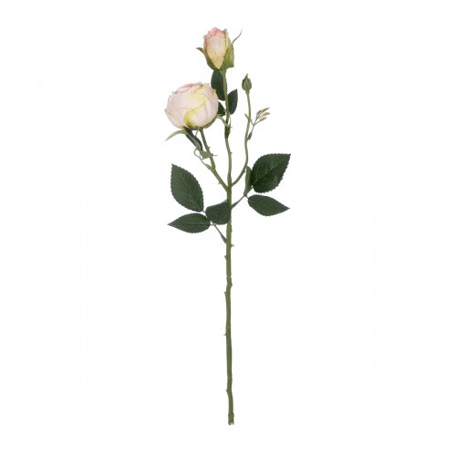 GloboStar® Artificial Garden CHAMPAGNE DAMASK CLIMBING ROSE BRANCH 21198 Τεχνητό Διακοσμητικό Κλαδί Τριαντάφυλλο Σαμπανιζέ Y55cm Διακόσμηση - Φως - Χαλιά GloboStar® Artificial Garden CHAMPAGNE DAMASK CLIMBING ROSE BRANCH 21198 Τεχνητό Διακοσμητικό Κλαδί Τριαντάφυλλο Σαμπανιζέ Y55cm Διακόσμηση - Φως - Χαλιά