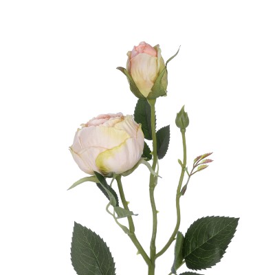 GloboStar® Artificial Garden CHAMPAGNE DAMASK CLIMBING ROSE BRANCH 21198 Τεχνητό Διακοσμητικό Κλαδί Τριαντάφυλλο Σαμπανιζέ Y55cm Διακόσμηση - Φως - Χαλιά GloboStar® Artificial Garden CHAMPAGNE DAMASK CLIMBING ROSE BRANCH 21198 Τεχνητό Διακοσμητικό Κλαδί Τριαντάφυλλο Σαμπανιζέ Y55cm Διακόσμηση - Φως - Χαλιά