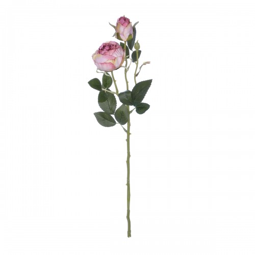 GloboStar® Artificial Garden PINK DAMASK CLIMBING ROSE BRANCH 21199 Τεχνητό Διακοσμητικό Κλαδί Τριαντάφυλλο Σαμπανιζέ Y55cm Διακόσμηση - Φως - Χαλιά GloboStar® Artificial Garden PINK DAMASK CLIMBING ROSE BRANCH 21199 Τεχνητό Διακοσμητικό Κλαδί Τριαντάφυλλο Σαμπανιζέ Y55cm Διακόσμηση - Φως - Χαλιά