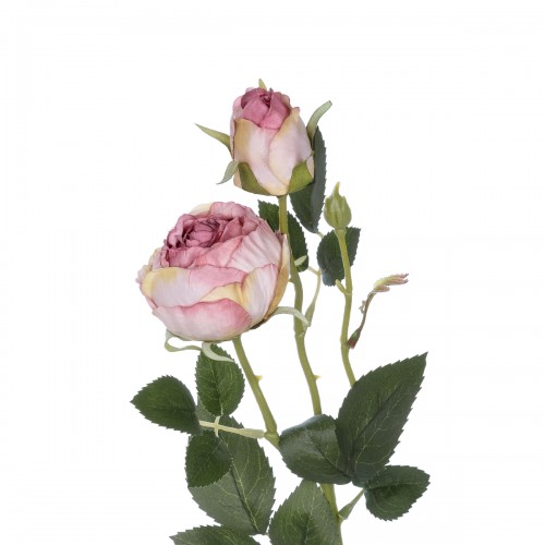 GloboStar® Artificial Garden PINK DAMASK CLIMBING ROSE BRANCH 21199 Τεχνητό Διακοσμητικό Κλαδί Τριαντάφυλλο Σαμπανιζέ Y55cm Διακόσμηση - Φως - Χαλιά GloboStar® Artificial Garden PINK DAMASK CLIMBING ROSE BRANCH 21199 Τεχνητό Διακοσμητικό Κλαδί Τριαντάφυλλο Σαμπανιζέ Y55cm Διακόσμηση - Φως - Χαλιά