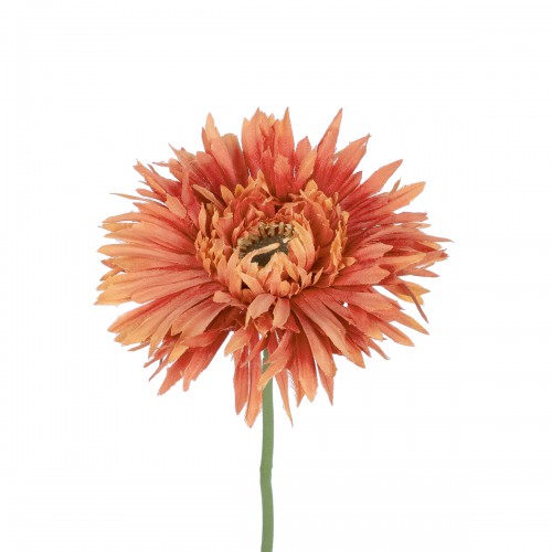 GloboStar® Artificial Garden ORANGE ROSE BRANCH 21206 Τεχνητό Διακοσμητικό Κλαδί Ζέρμπερας Πορτοκαλί Y44cm GloboStar® Artificial Garden ORANGE ROSE BRANCH 21206 Τεχνητό Διακοσμητικό Κλαδί Ζέρμπερας Πορτοκαλί Y44cm