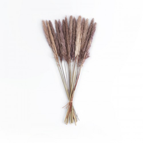 GloboStar® Artificial Garden REAL DRIED BROWN PAMPAS GRASS BUNCH 21215 Αποξηραμένο Διακοσμητικό Μπουκέτο Pampas Kάφε Y50cm - Σετ 15 τμχ GloboStar® Artificial Garden REAL DRIED BROWN PAMPAS GRASS BUNCH 21215 Αποξηραμένο Διακοσμητικό Μπουκέτο Pampas Kάφε Y50cm - Σετ 15 τμχ