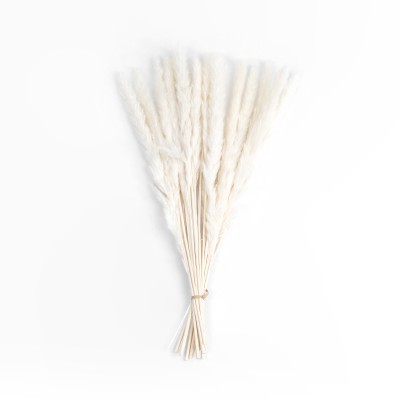 GloboStar® Artificial Garden REAL DRIED BEIGE PAMPAS GRASS BUNCH 21216 Αποξηραμένο Διακοσμητικό Μπουκέτο Pampas Μπέζ Y50cm - Σετ 15 τμχ GloboStar® Artificial Garden REAL DRIED BEIGE PAMPAS GRASS BUNCH 21216 Αποξηραμένο Διακοσμητικό Μπουκέτο Pampas Μπέζ Y50cm - Σετ 15 τμχ