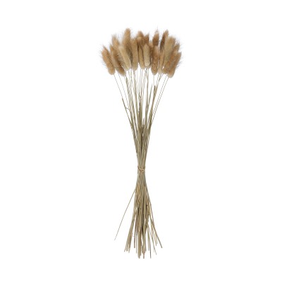 GloboStar® Artificial Garden REAL DRIED BEIGE WHEAT BUNCH 21219 Αποξηραμένο Διακοσμητικό Μπουκέτο Σιταριού Y50cm - Σετ 30 τμχ GloboStar® Artificial Garden REAL DRIED BEIGE WHEAT BUNCH 21219 Αποξηραμένο Διακοσμητικό Μπουκέτο Σιταριού Y50cm - Σετ 30 τμχ