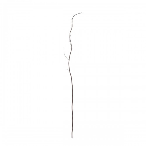 GloboStar® Artificial Garden REAL DRIED WITHERED VINE STEM 21220 Τεχνητό Διακοσμητικό Κλαδί Αμπελιού Y120cm Διακόσμηση - Φως - Χαλιά