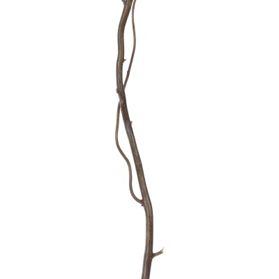 GloboStar® Artificial Garden REAL DRIED WITHERED VINE STEM 21220 Τεχνητό Διακοσμητικό Κλαδί Αμπελιού Y120cm Διακόσμηση - Φως - Χαλιά