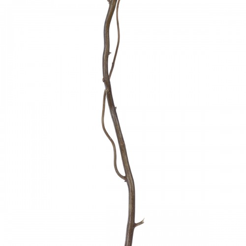 GloboStar® Artificial Garden REAL DRIED WITHERED VINE STEM 21220 Τεχνητό Διακοσμητικό Κλαδί Αμπελιού Y120cm Διακόσμηση - Φως - Χαλιά