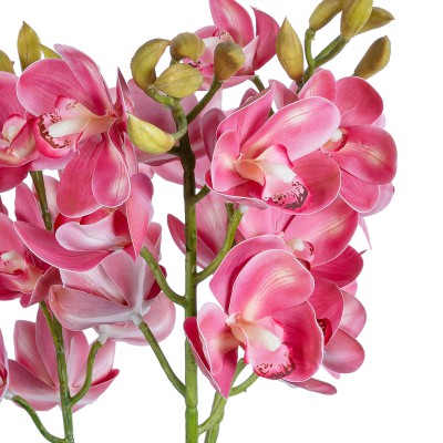 GloboStar® Artificial Garden PINK CHERRY CYMBIDIUM 21402 Διακοσμητικό Φυτό Φούξια Κυμβίδιο Υ60cm Διακόσμηση - Φως - Χαλιά GloboStar® Artificial Garden PINK CHERRY CYMBIDIUM 21402 Διακοσμητικό Φυτό Φούξια Κυμβίδιο Υ60cm Διακόσμηση - Φως - Χαλιά